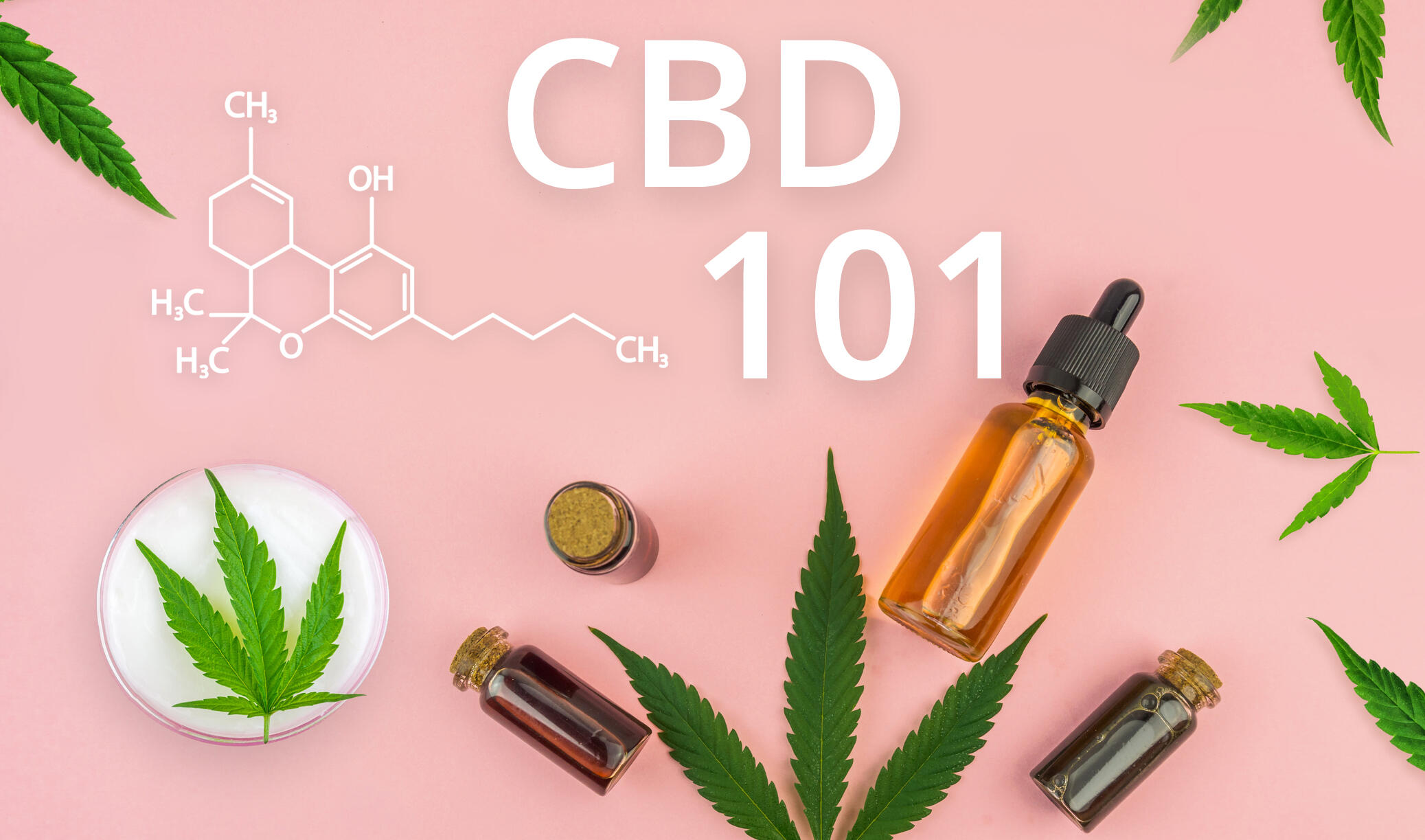 CBD 101