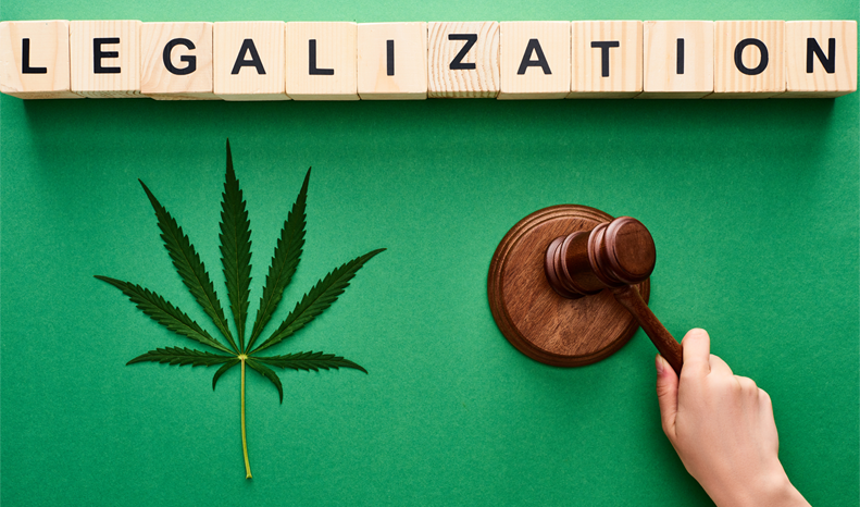 Cannabis legalization