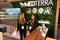 Medterra Interview