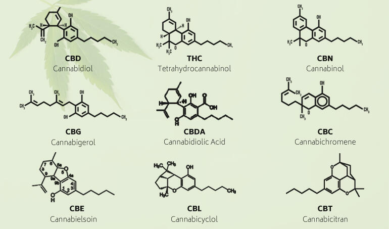 Cannabinoids