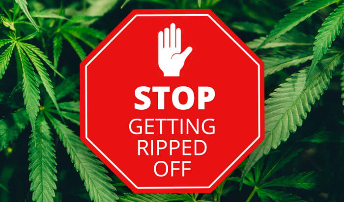 How to Avoid Getting Ripped Off When Buying CBD Products