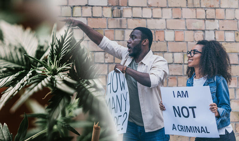 40 dispensaries looted in the US amidst riots