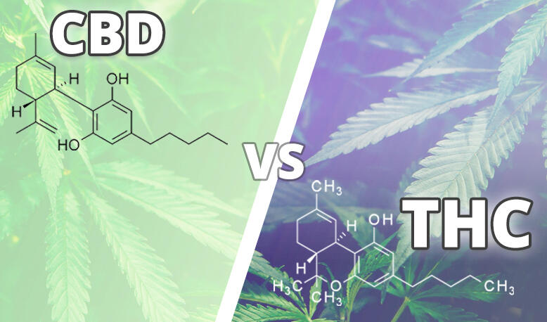 CBD vs. THC