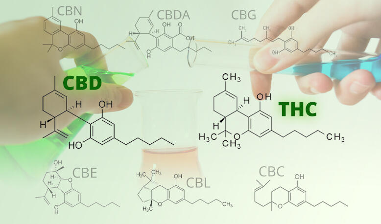 The Chemical Breakdown of Cannabis