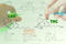 The Chemical Breakdown of Cannabis