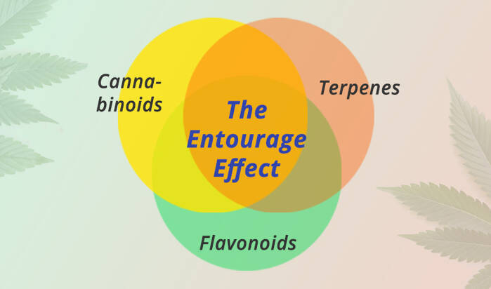 Entourage Effect of Cannabidiol (CBD)