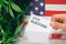 Cannabis 2020 election