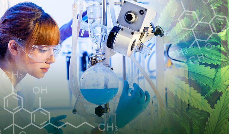 CBD Extraction Methods