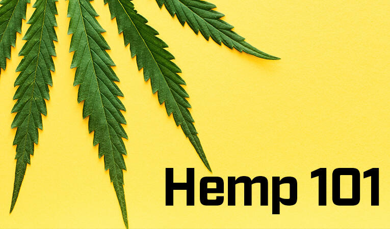 Hemp 101