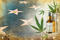 Celebrities and CBD