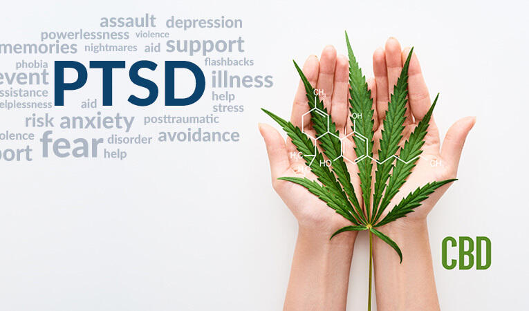 PTSD and CBD