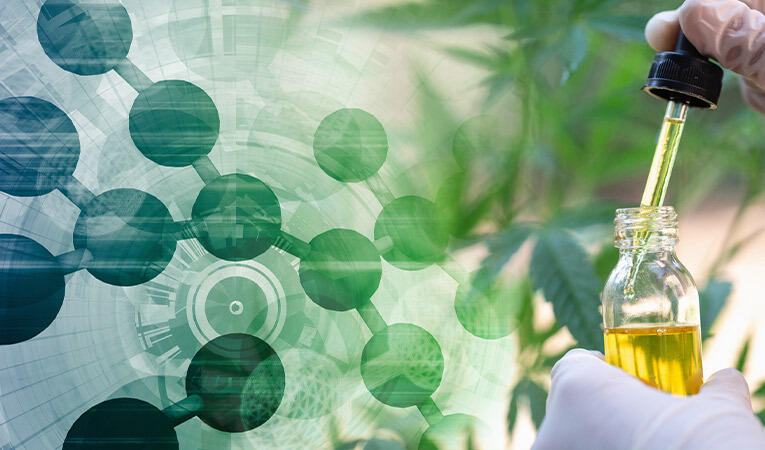 Nanotechnology for CBD