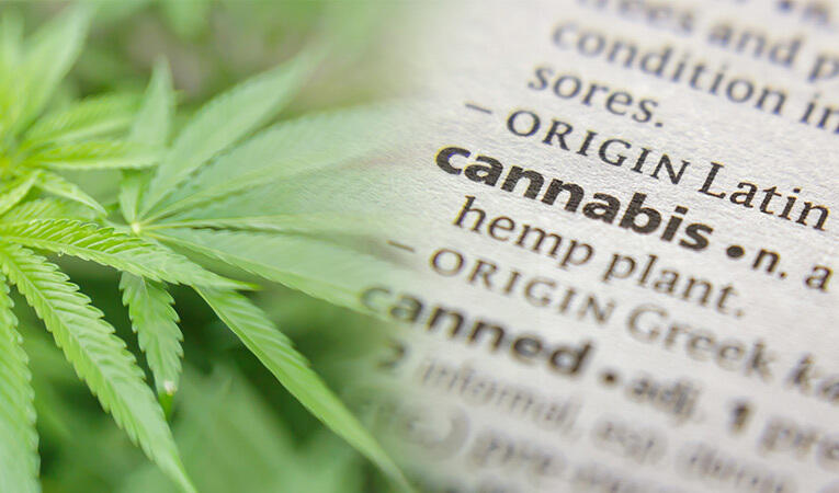 CBD Cannabis glossary