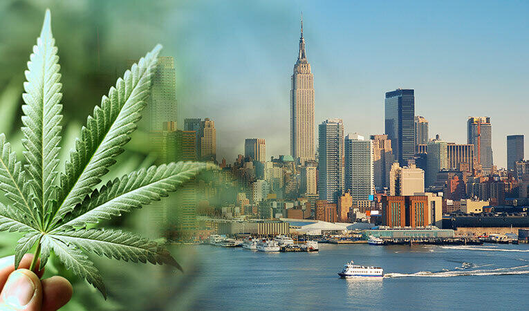 Cannabis Ney York