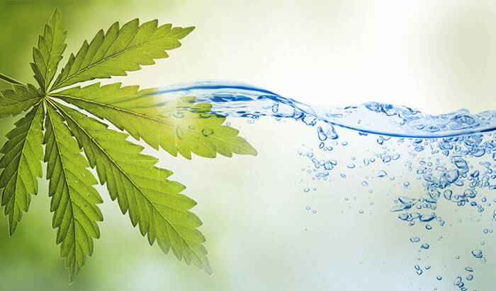 The Cannabis Industry and Water