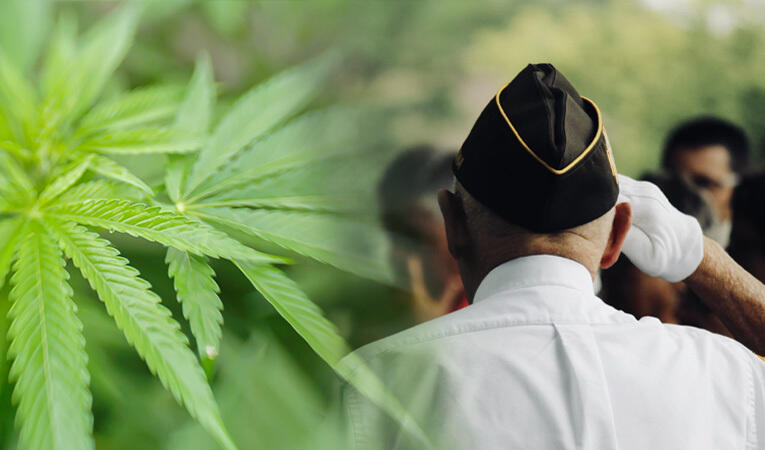 CBD for veterans