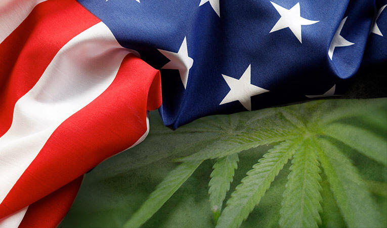 US Cannabis market