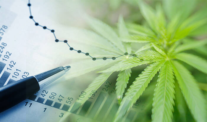 Radicle Science Announces the Launch of Longitudinal Study of CBD Efficacy Based on Consumer Data