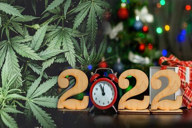 Christmas Eve Sales 2022 Why Cannabis Retailers Should Start Planning Their 2022 Holiday Sales Now