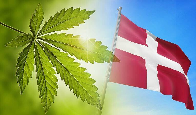 Is CBD Legal In Denmark & Where To Buy It - LeafReport