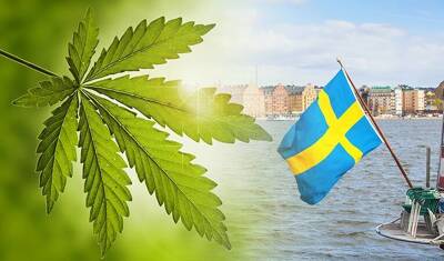 Is CBD legal in Sweden &amp; Where to Buy it - LeafReport