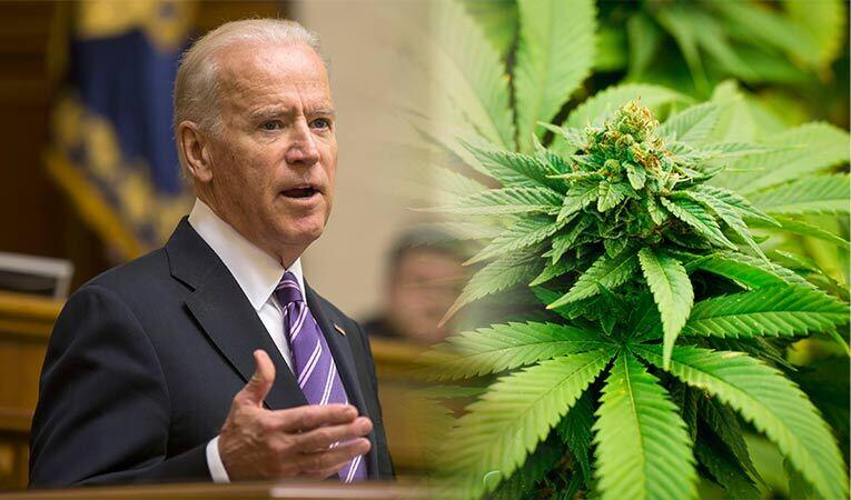 Joe Biden Grants Clemency To Dozens Of Americans Jailed For Cannabis ...