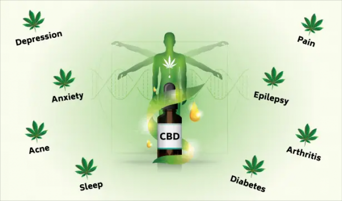 I Veri Benefici Dell 039 Olio Di Cbd Sulla Salute Illustrati Leafreport It